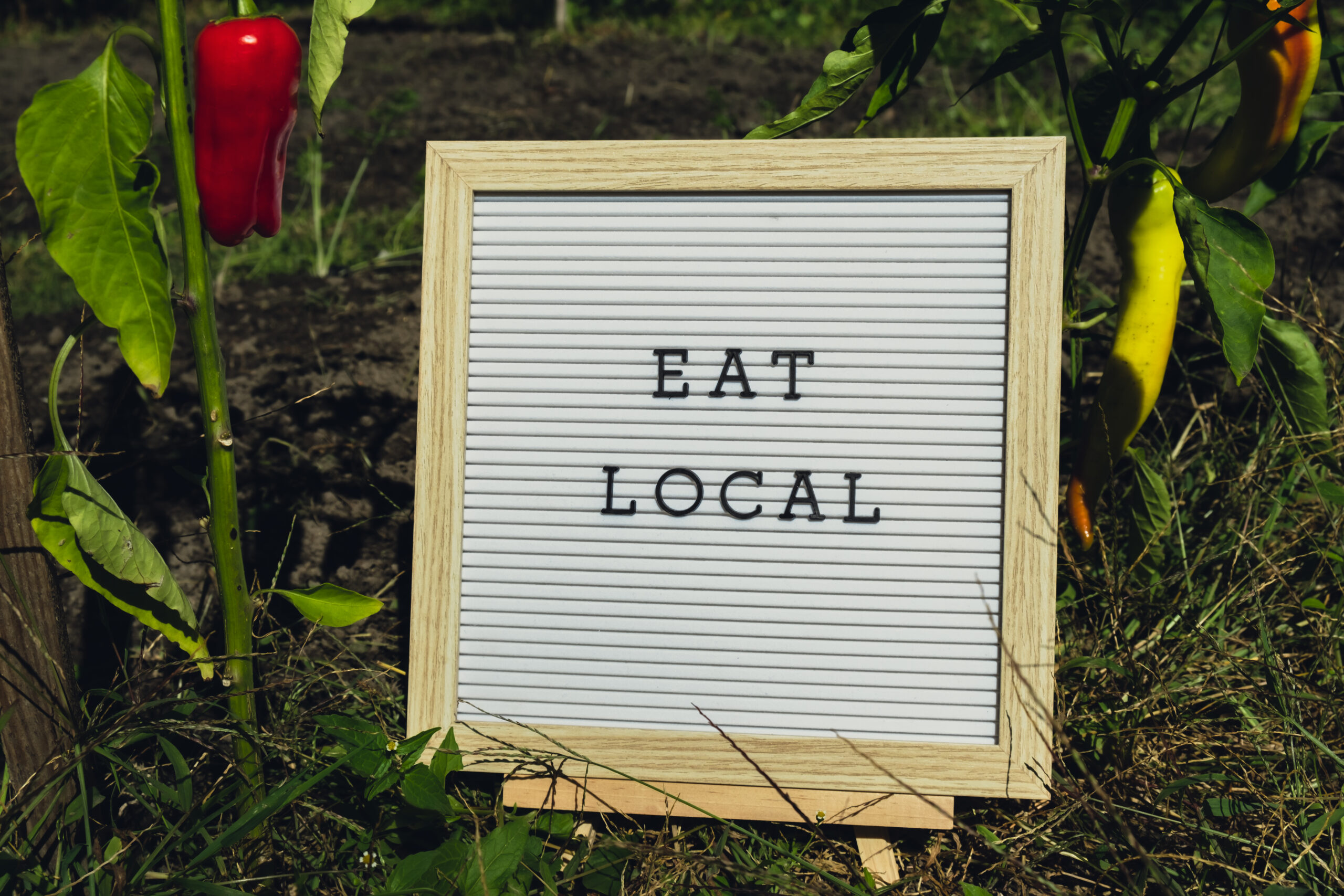 Trek & Taste: Hidden Trails and Local Eats in Europe